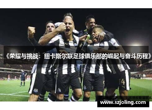 《荣耀与挑战：纽卡斯尔联足球俱乐部的崛起与奋斗历程》